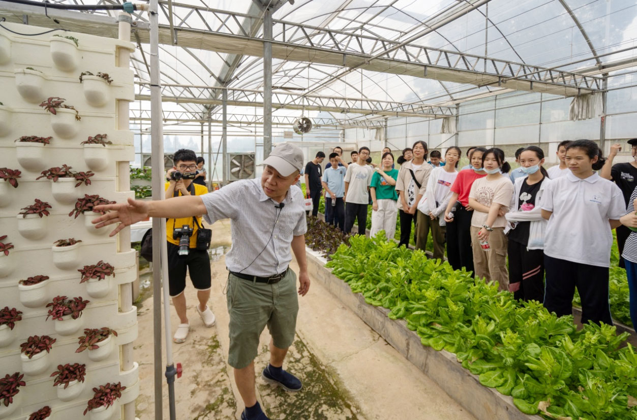 芦笋栽培技术关于芦笋栽培技术