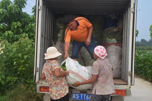 开云官网最新：春节临近农民开始关注节后种植9个“种植宝典”帮你解惑(图8)