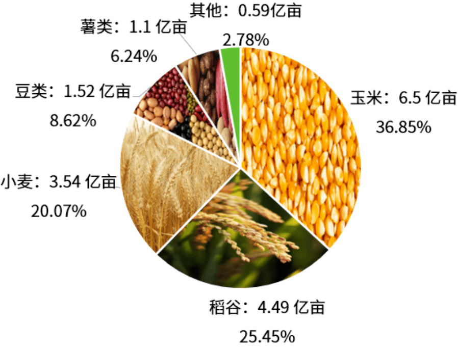 一文读懂中国农业产业概况(图4)