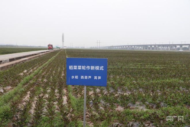 开云平台APP官网：一犁新雨破春耕｜ “一采一收”轮番耕种 眉山夯实粮食根基(图4)