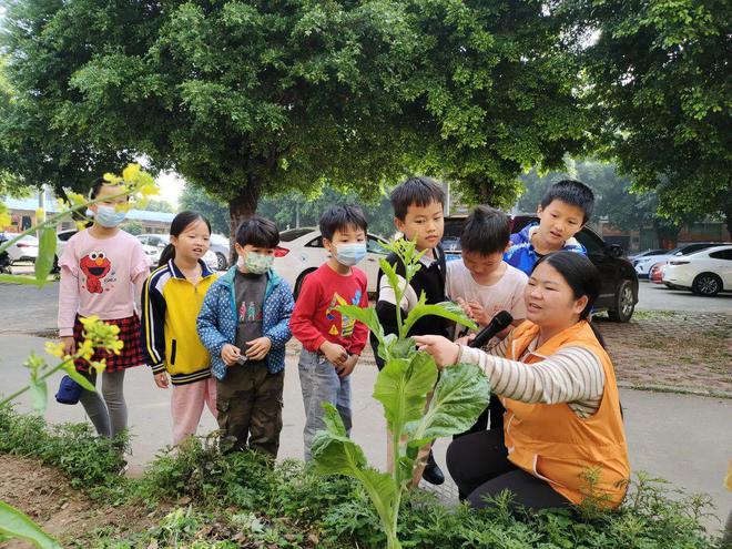 一颗种子7种玩法！春耕知识干货满满(图6)