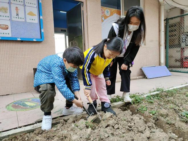 一颗种子7种玩法！春耕知识干货满满(图8)