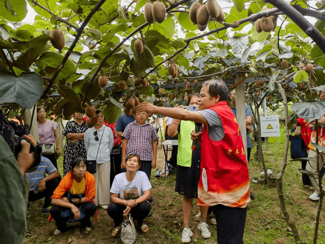 老专家田间手把手教授种植技术(图1)