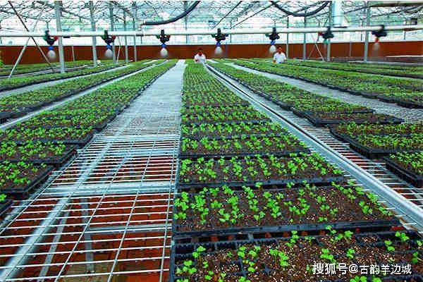 5G时代农业种植最强10大模式(图1)