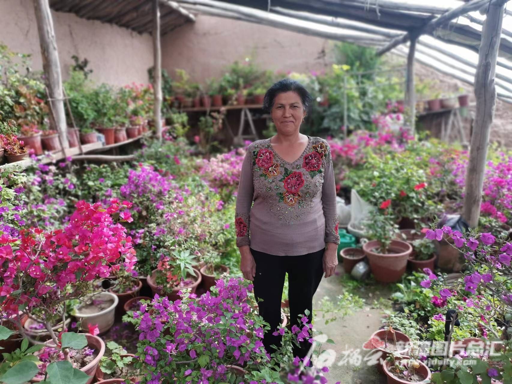 达人汇丨他们让村里的花儿四季盛开(图2)