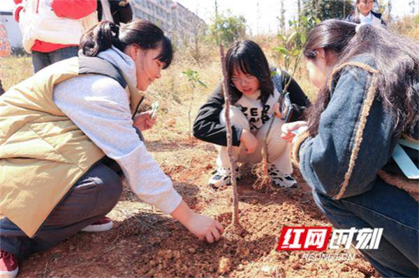 开云平台APP官网：湖南科技学院开展植树节义务植树活动(图2)