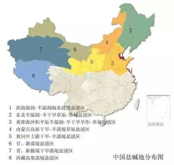 开云平台APP官网：【新微专题】关于水稻种植的考点整理(图2)