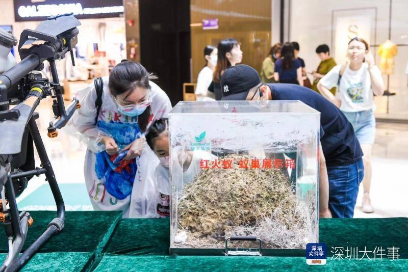 开云平台APP下载：深圳农业科普系列活动启动将覆盖种植基地、公园、学校等(图2)