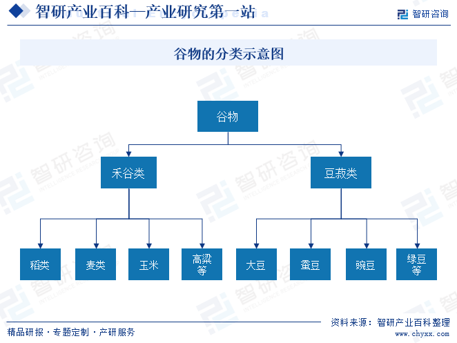 开云平台APP下载：产业链知识图谱智研——谷物种植产业百科【29】(图2)