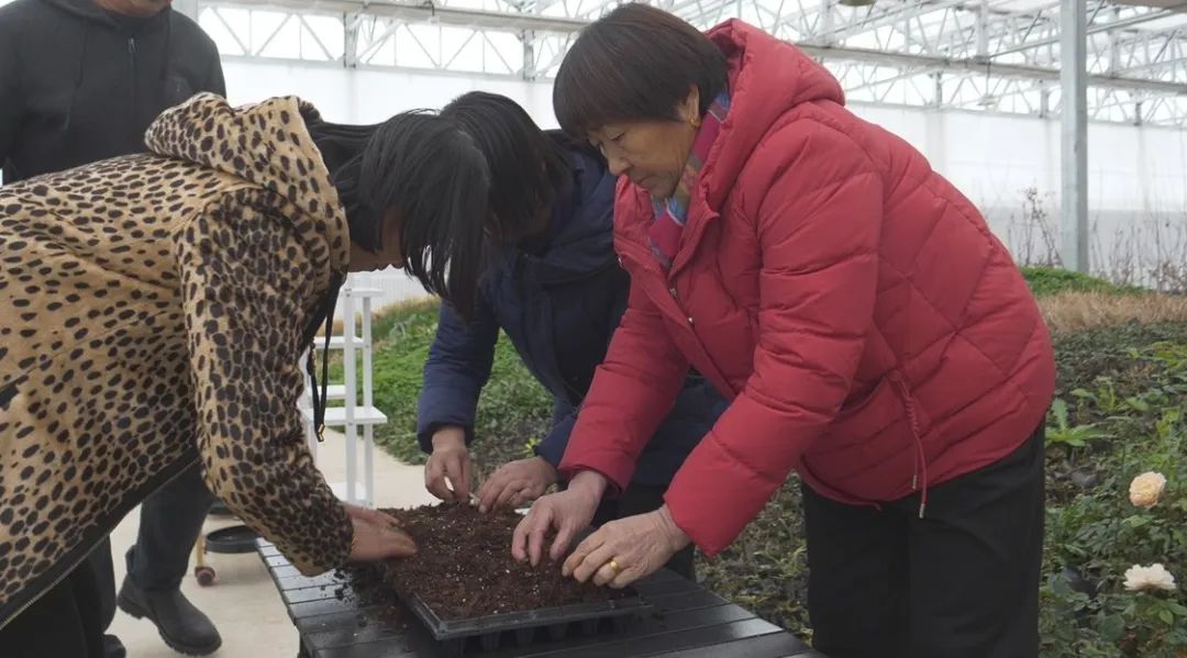 花卉种植技术培训拓宽群众增收渠道(图2)