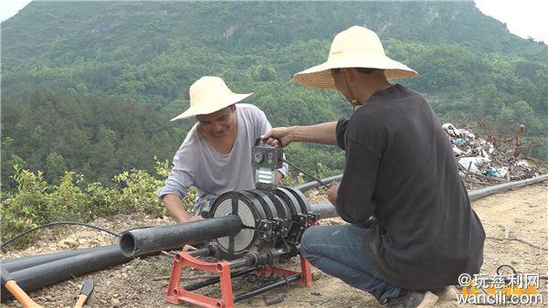 慈利县零溪镇大庄村：计划种植500亩山胡椒吃上农业“产业饭”(图2)