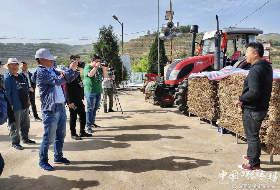 涪陵马武镇：中药材种植让村民增收致富“有盼头”