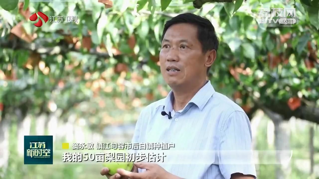 盛夏的果实 科学培管 先进种植技术栽出“致富果”(图2)