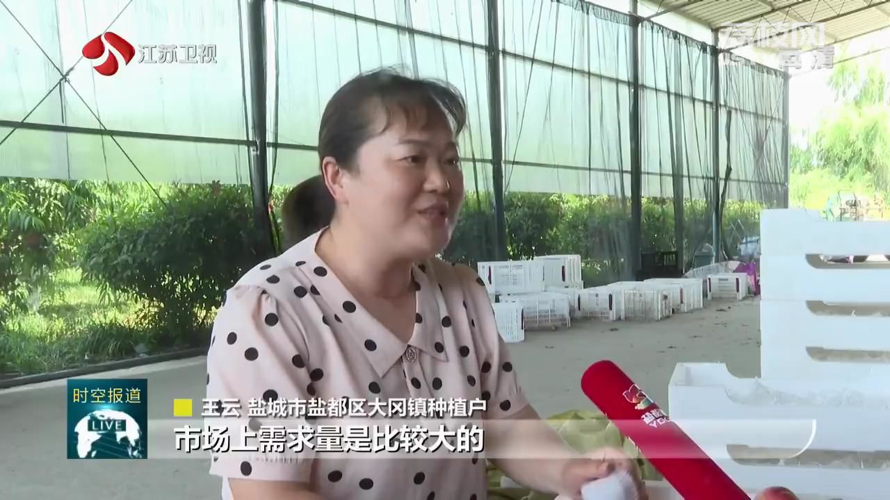 盛夏的果实 科学培管 先进种植技术栽出“致富果”(图1)