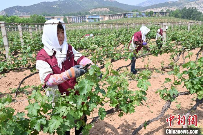 种植养殖业项目有哪些呢？