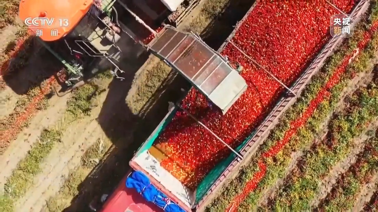 焦点访谈丨深耕科技沃土 培植智慧农业(图6)