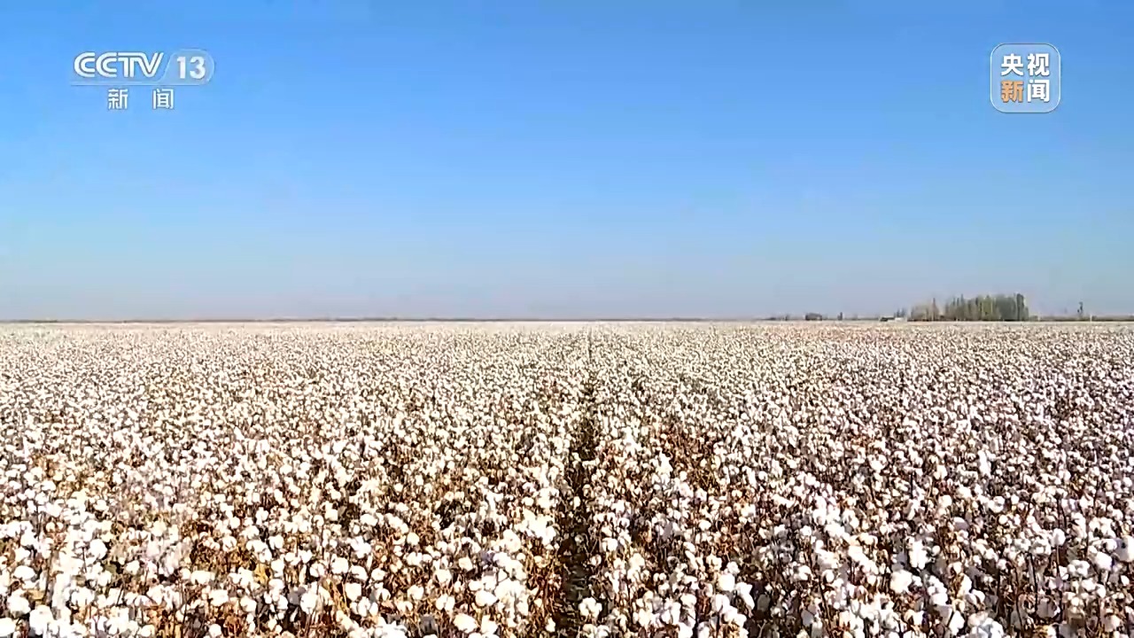 焦点访谈丨深耕科技沃土 培植智慧农业(图8)