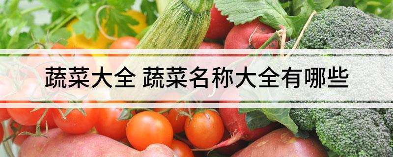 蔬菜大全(图1)