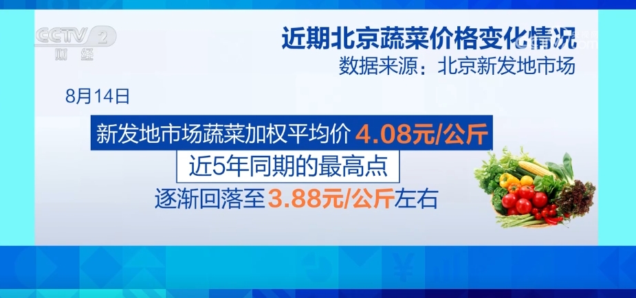 市场供应充足 全国蔬菜价格涨幅收窄 9月以后菜价有望逐步回落(图3)