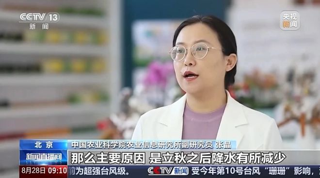 蔬菜价格开始回落绿叶菜降价最快开云官网注册(图2)