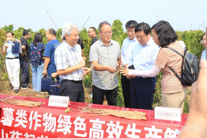 怀山药起垄高架与绿色防控生态栽培技术集成与示范观摩培训会举办开云官网平台(图2)