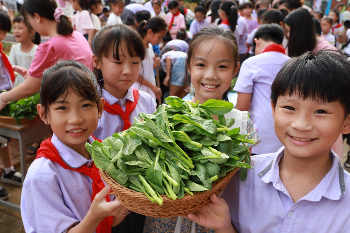 柳州这所学校蔬菜丰收很快就被“抢购”一空(图1)