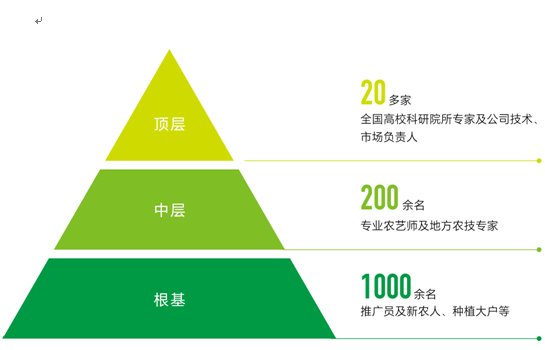 开云官网网址粮丰天下安新洋丰农服领军模式引领科学种植新风尚(图2)