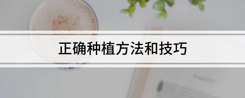 正确种植方法和技巧(图1)