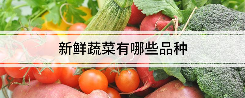 开云官网入口新鲜蔬菜有哪些品种(图1)