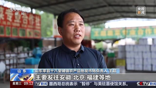 开云官网网址蔬菜价格开始回落啦绿叶菜降价最快(图4)