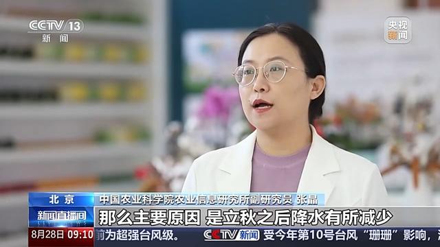 开云官网网址蔬菜价格开始回落啦绿叶菜降价最快(图1)