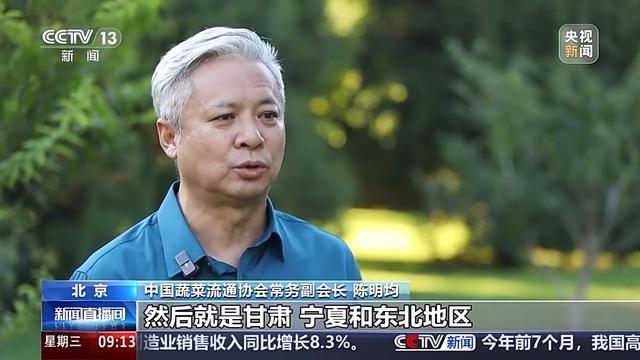 开云官网网址蔬菜价格开始回落啦绿叶菜降价最快(图6)