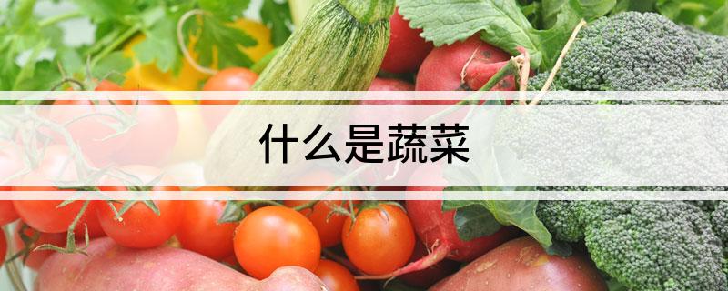 什么是开云官网平台蔬菜(图1)