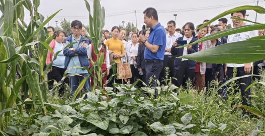 高素质农民培育大豆玉米带状复合种植培训班圆满结业开云官网平台(图2)