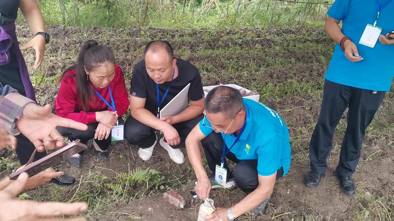 首手羊肚菌田间种植技术及制种技术培训会完美开云官网平台收官(图2)