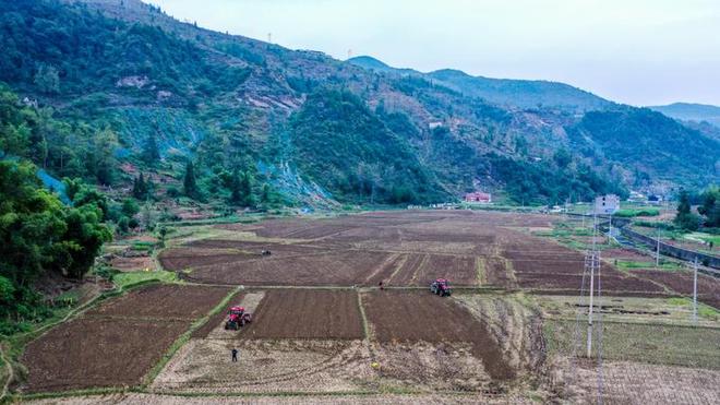 沿河：油菜种植正当时 农机农技助秋播(图2)